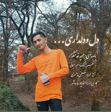 حمید خدمتگذار دل و دلداری